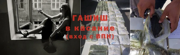 прущие грибы Аркадак