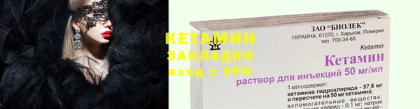 прущие грибы Аркадак
