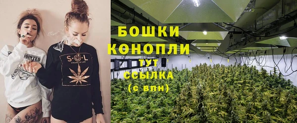 PSILOCYBIN Артём